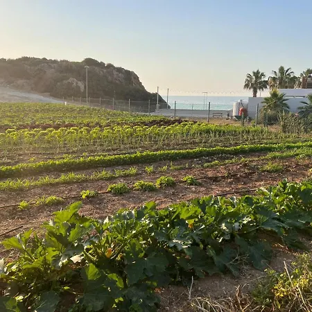 度假村 Karpaz Gate Marina